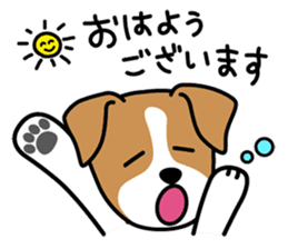 Cute! Jack Russell Terrier Stickers sticker #12383535