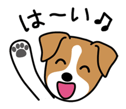 Cute! Jack Russell Terrier Stickers sticker #12383545