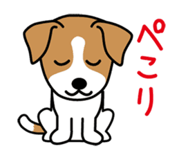 Cute! Jack Russell Terrier Stickers sticker #12383549