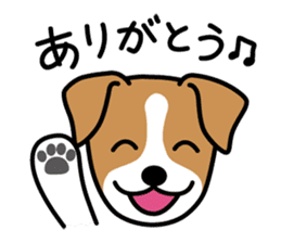Cute! Jack Russell Terrier Stickers sticker #12383550