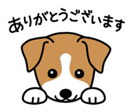 Cute! Jack Russell Terrier Stickers sticker #12383551