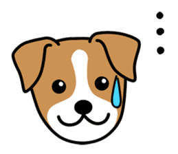 Cute! Jack Russell Terrier Stickers sticker #12383554
