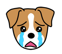 Cute! Jack Russell Terrier Stickers sticker #12383556