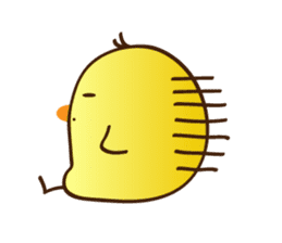 Kimipiyo-chan sticker #12384424