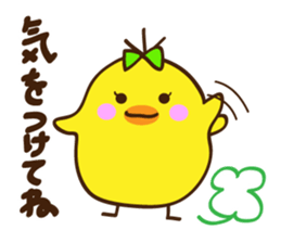 Kimipiyo-chan sticker #12384441