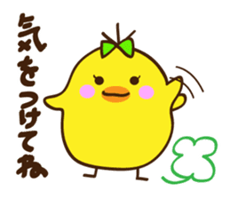 Kimipiyo-chan sticker #12384441