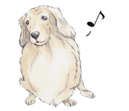 Riku of the miniature dachshund 2. sticker #12384950