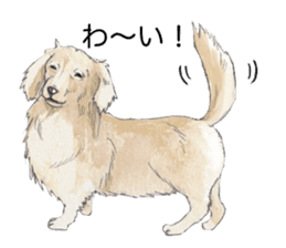 Riku of the miniature dachshund 2. sticker #12384953