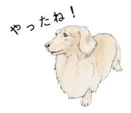 Riku of the miniature dachshund 2. sticker #12384954