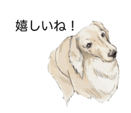 Riku of the miniature dachshund 2. sticker #12384955