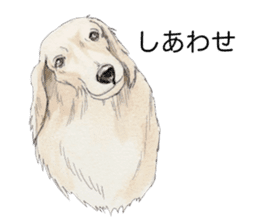 Riku of the miniature dachshund 2. sticker #12384956