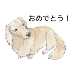 Riku of the miniature dachshund 2. sticker #12384957