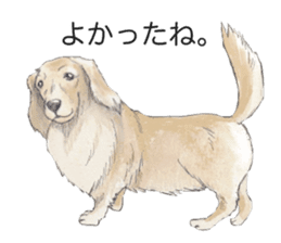 Riku of the miniature dachshund 2. sticker #12384958