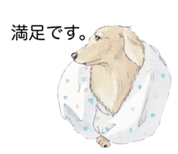 Riku of the miniature dachshund 2. sticker #12384959