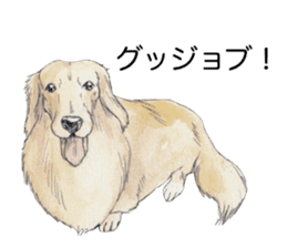Riku of the miniature dachshund 2. sticker #12384960
