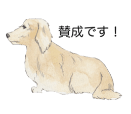 Riku of the miniature dachshund 2. sticker #12384961