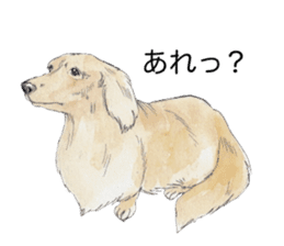 Riku of the miniature dachshund 2. sticker #12384964