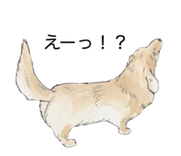Riku of the miniature dachshund 2. sticker #12384965