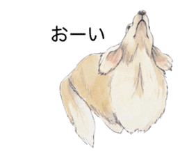 Riku of the miniature dachshund 2. sticker #12384966
