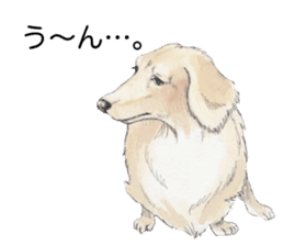 Riku of the miniature dachshund 2. sticker #12384967