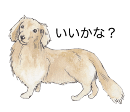 Riku of the miniature dachshund 2. sticker #12384968