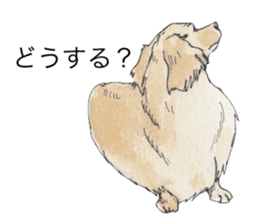Riku of the miniature dachshund 2. sticker #12384970
