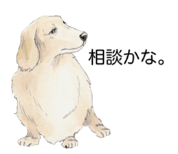 Riku of the miniature dachshund 2. sticker #12384971