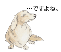 Riku of the miniature dachshund 2. sticker #12384972