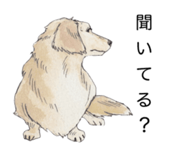 Riku of the miniature dachshund 2. sticker #12384973