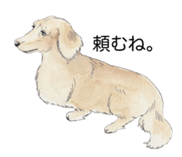 Riku of the miniature dachshund 2. sticker #12384975