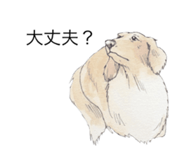 Riku of the miniature dachshund 2. sticker #12384977