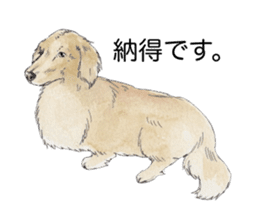 Riku of the miniature dachshund 2. sticker #12384978
