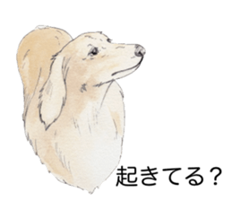 Riku of the miniature dachshund 2. sticker #12384979