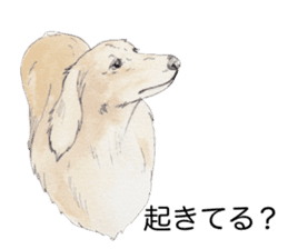 Riku of the miniature dachshund 2. sticker #12384979