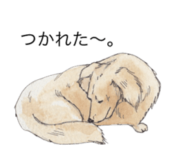 Riku of the miniature dachshund 2. sticker #12384982