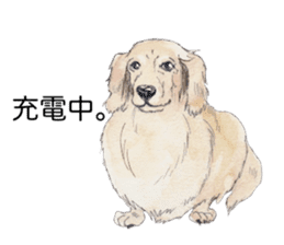 Riku of the miniature dachshund 2. sticker #12384984
