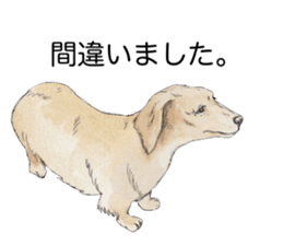 Riku of the miniature dachshund 2. sticker #12384985