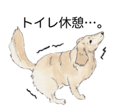 Riku of the miniature dachshund 2. sticker #12384988