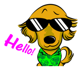 Golden Retriever named sakura sticker #12385150