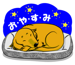 Golden Retriever named sakura sticker #12385153