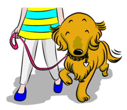 Golden Retriever named sakura sticker #12385154