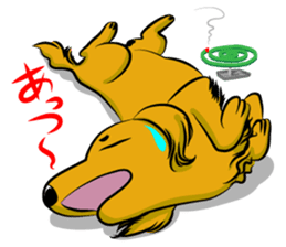 Golden Retriever named sakura sticker #12385158