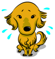 Golden Retriever named sakura sticker #12385160