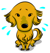 Golden Retriever named sakura sticker #12385160