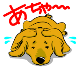 Golden Retriever named sakura sticker #12385161