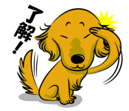 Golden Retriever named sakura sticker #12385163