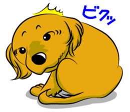 Golden Retriever named sakura sticker #12385165