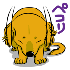 Golden Retriever named sakura sticker #12385173