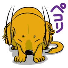 Golden Retriever named sakura sticker #12385173