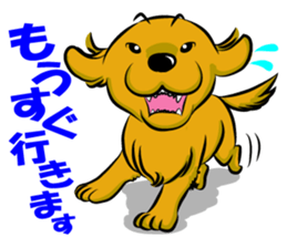 Golden Retriever named sakura sticker #12385179